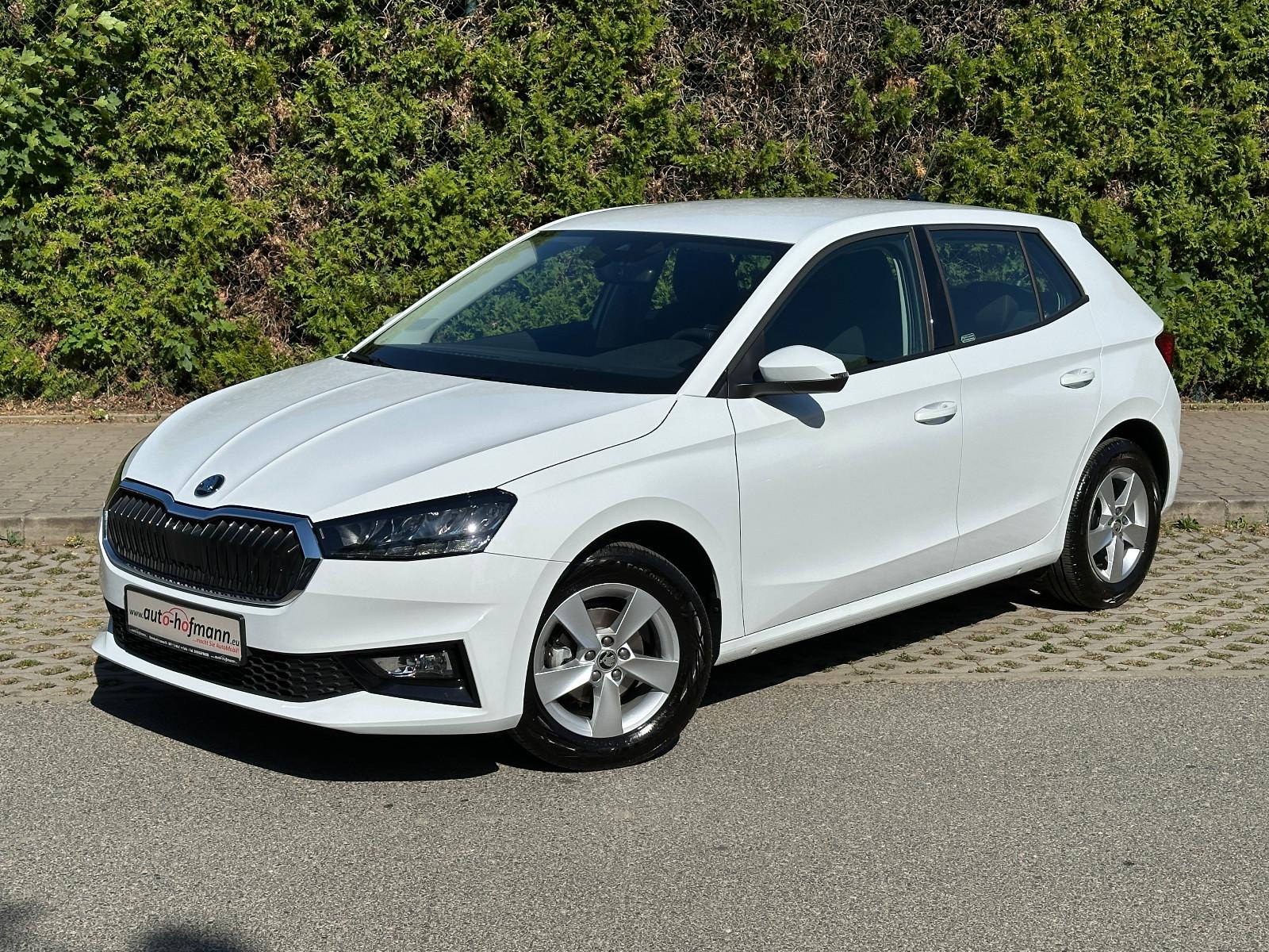 Skoda 80PS Selection V.Cockpit SHZ PDC LM15" 5Ja/GAR.