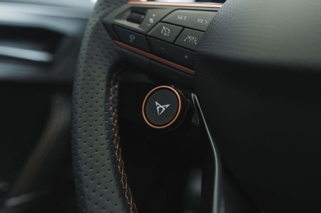 Fahrzeugabbildung Cupra Formentor VZ5 4Drive - BeatsAudio * LED * Carbon