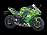 Kawasaki NINJA 650 2025 - KRT-Design GRÜN  SOFORT