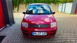 Fiat Panda - Fiat Panda in Ludwigshafen
