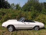 Alfa Romeo Spider 2000-nahezu perfekt & äußerst attraktiv!! - Alfa Romeo Spider: Weiß