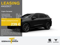 Cupra Terramar - Vorschau Bild 1