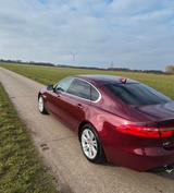 Jaguar XF 30d 300PS Portfolio Automatik Portfolio - Jaguar: X300