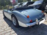 Austin Healey 3000 H-Kennzeichen Mark 3 - Austin