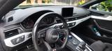 Audi A5 Sportback 3.0 TDI quattro S line Stdhzg Ahkpl - Audi A5 mit Diesel-Antrieb: Limousine, Automatik, 3.0
