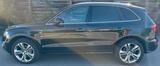 Audi Q5 2.0 TDI Quattro S-tronic AHK PANO XENON LEDER - Audi Q5 in Lübeck