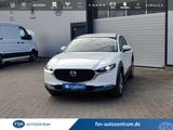 Mazda CX-30 150PS Exclusive-line  MATRIX-LED NAVI HEAD - Mazda CX-30: Exclusive Line