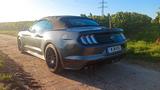Ford Mustang 5.0 Ti-VCT V8 GT Auto GT - Ford Mustang mit LPG-Antrieb