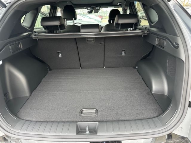 Fahrzeugabbildung Hyundai Tucson N Line Hybrid 4WD 1.6 T-GDI Pano+ECS Lage