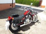 Suzuki VS 800 Intruder - SUZUKI VS 800 INTRUDER