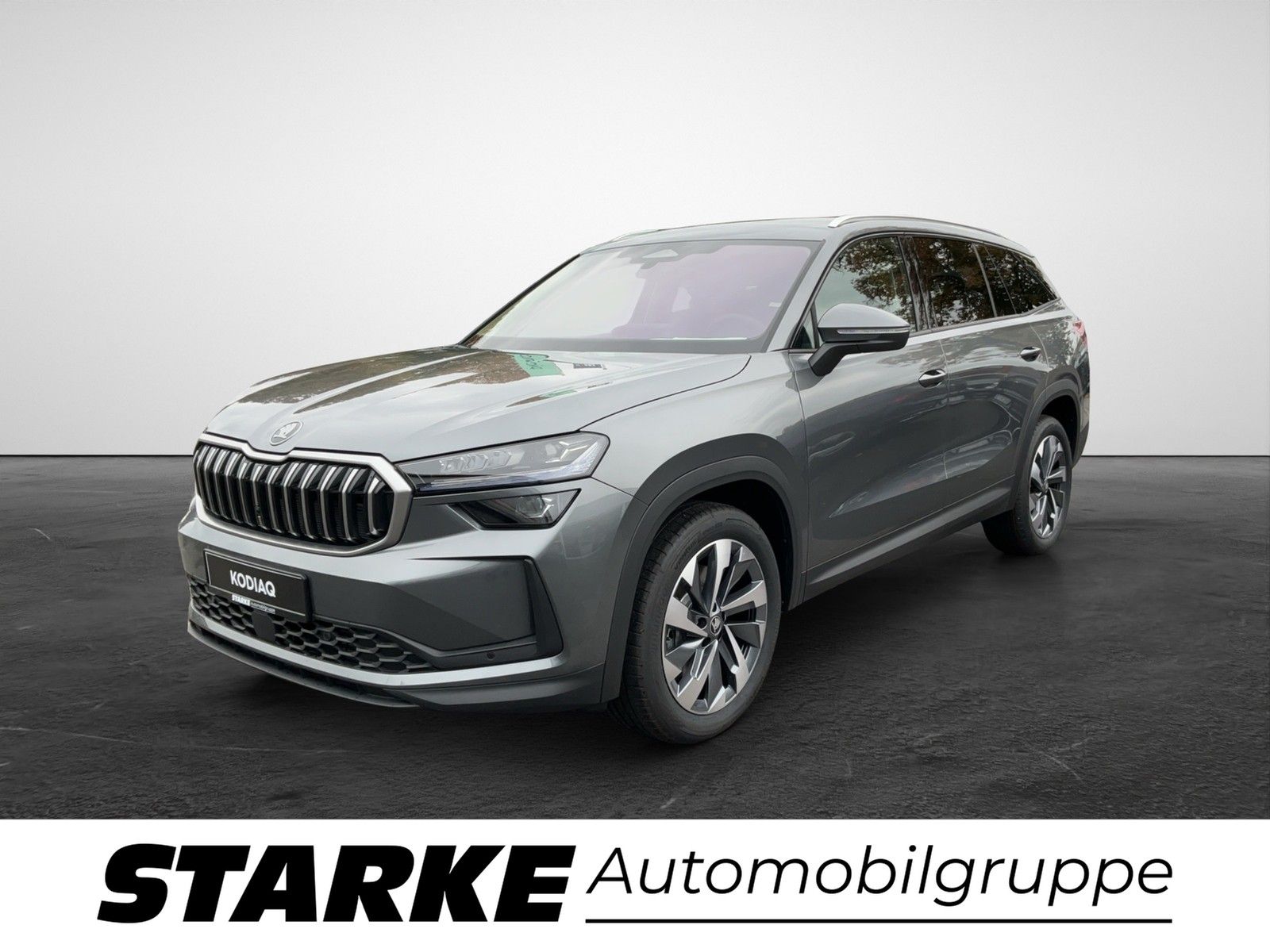 Skoda Kodiaq 2.0 TDI Selection AHK Matrix Navi RFK 19Z