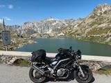 Suzuki SV650 A2 gedrosselt - SUZUKI SV 650 A