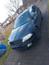 Skoda Octavia Combi 2.0 TDI - 140 PS, Xenon, Leder - Skoda Octavia: TDI 140