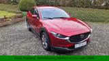 Mazda CX-30 Selection *Autom*Garantie*Head-up*Assist* - Mazda CX-30 in Wuppertal