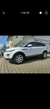Land Rover Range Rover Evoque 2.2 TD4 Pure Pure - Land Rover Range Rover Evoque mit Diesel-Antrieb: Geländewagen, Td4 Pure
