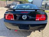 Ford Mustang - Ford Mustang mit LPG-Antrieb: Leder
