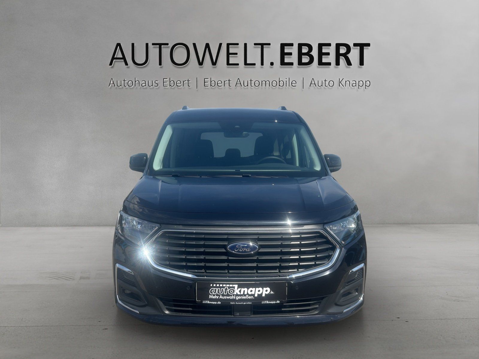 Fahrzeugabbildung Ford Tourneo Connect Titanium L1 Automatik PDC Kamera