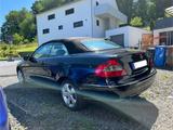 Mercedes-Benz Mercedes Clk Cabrio - Mercedes-Benz mit LPG-Antrieb: Cabrio