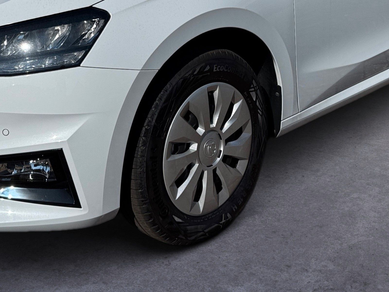 Fahrzeugabbildung SKODA Fabia Selection 1.0TSI