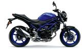 Suzuki SV650 Modell 2025!!! Tageszulassung A2 Promo - SUZUKI SV 650 A