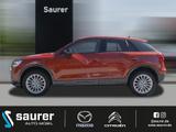 Audi Q2 Design Anhängekupplung/Winterräder/Sitzheizun - Audi Q2 design mit Diesel-Antrieb