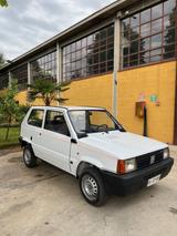 Fiat Panda del 1991 - gebrauchte Fiat Panda aus dem Jahr 1991