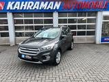 Ford Kuga Trend - Ford Kuga: Trend