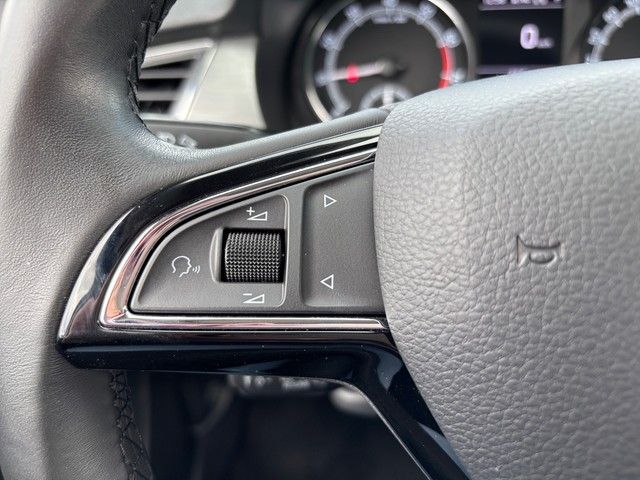 Fahrzeugabbildung SKODA Fabia Combi 1.0 TSI Soleil NAVI+AHK+KAMERA+++