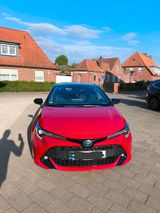 Toyota Corolla 2.0l Hybrid Team D Style - Toyota Corolla: Toyot