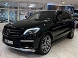 Mercedes-Benz ML 63 AMG DRIVERS DESIGNO AHK PANO 360CAM STAND - Mercedes ML 63 AMG SUV