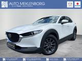 Mazda CX-30 2.0l "Selection" M Hybrid - Mazda CX-30 Gebrauchtwagen in Berlin