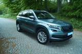 Skoda Kodiaq 2.0 TDI SCR 140kW DSG 4x4 Ambition Am... - Skoda Kodiaq in Lübeck