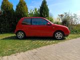 Volkswagen VW Lupo 1,4 16V - Volkswagen Lupo: 16v