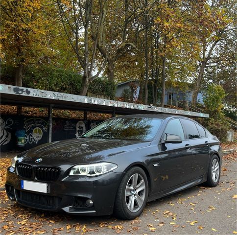 BMW F10 525d 3.0L (6 Zylinder) mit umfangr...