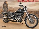 Harley-Davidson Softail FXSTB Night-Train *ScraminEagle Auspuff* - Angebote