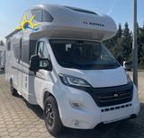 Adria Coral XL 660 SL Markise - Adria 660