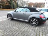 Volkswagen Beetle Cabrio 2.0TSI Exclusive Sport /ABT/19" - Volkswagen Beetle Gebrauchtwagen