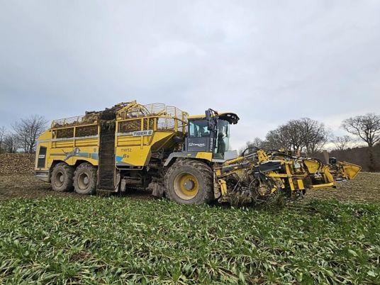 Andere Ropa Tiger 6s 2024