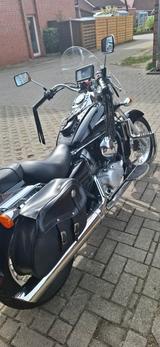 Honda Schadow  - CHOPPER VON 81 BIS 125 CCM