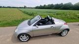 Ford StreetKa 1.6 TÜV 06.28 - Ford Ka/Ka+: Cabrio