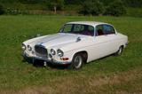 Jaguar MKX10, Linkslenker, BJ 1964 - Jaguar: 10