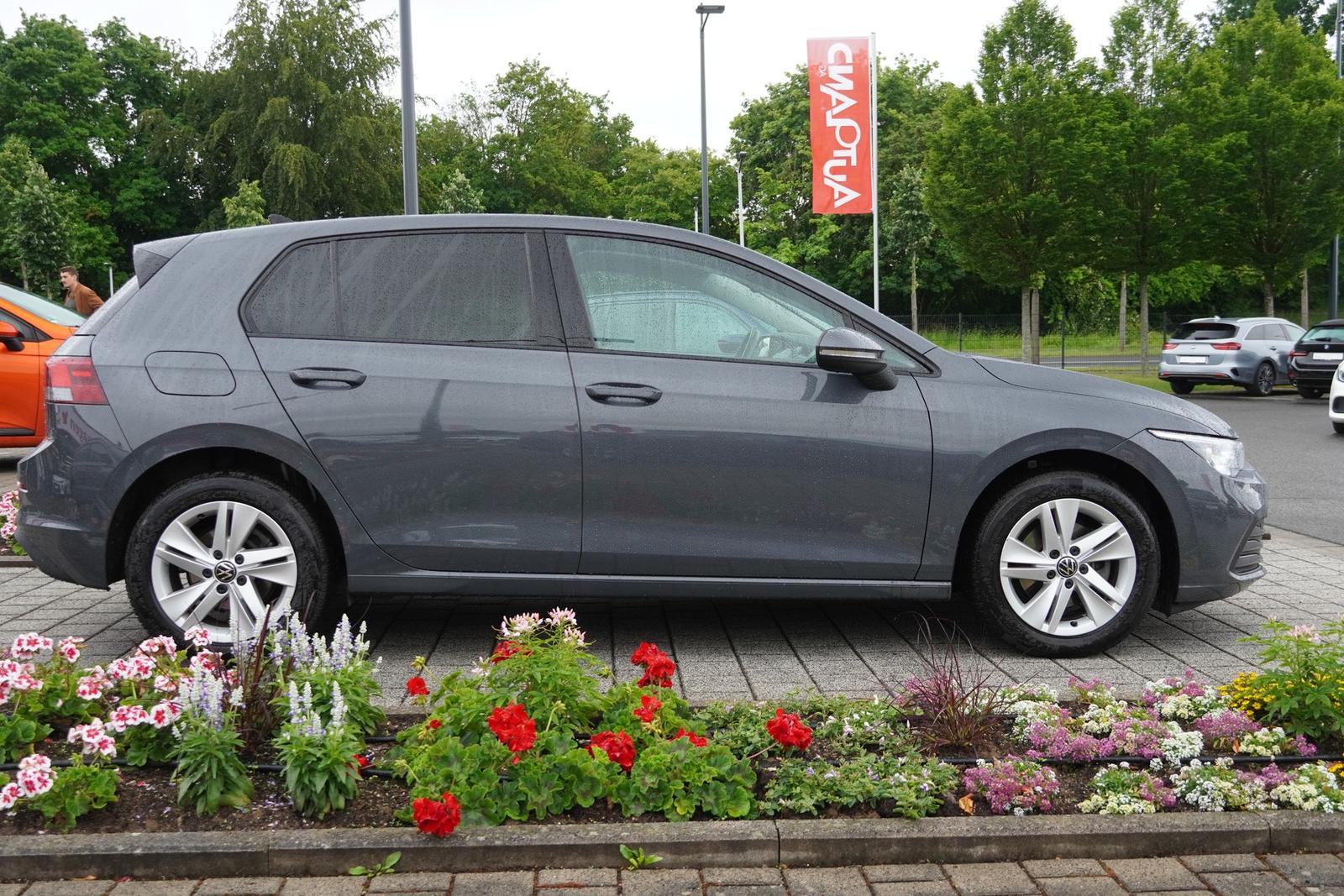 Volkswagen Golf VIII 1.5 16V TSI Life ACC LED Navi PDC, миниатюра 9