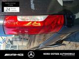 Mercedes-Benz SPRINTER 317 L3H2 NEUES MODELL AUTOM AHK 3,5t - Tier-/Pferdetransport 3 5t