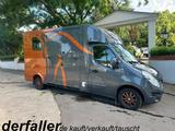 Renault Master Theault 1-2 Pferde - Tier- & Pferdetransport für 2 Pferde
