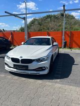 ALPINA D4 3.0 Biturbo Automatik - - ALPINA: Weiß