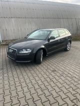 Audi A3 Sportback 1.6 Ambiente - Audi A3: 1.6