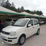 Fiat Panda 1.3 MJT 16V DPF Emotion - Fiat Panda Emotion mit Diesel-Antrieb
