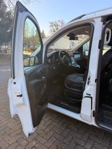 Mercedes-Benz V 250 d Aut. AVANTGARDE Edition 360, Burmester - Mercedes-Benz V 250 in Dresden