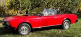 Peugeot 504 Cabrio, EZ 1983, eines der letzten! - Peugeot 504 Gebrauchtwagen