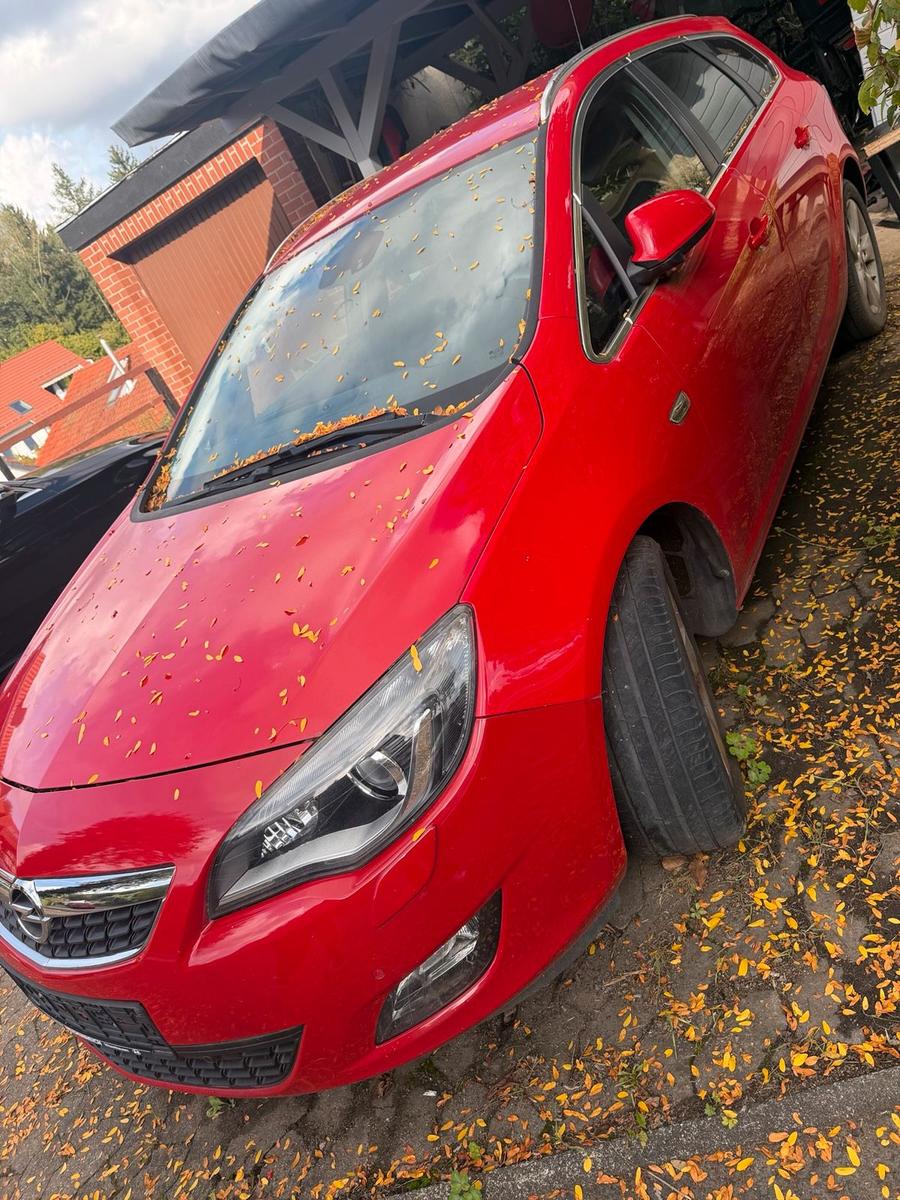 Opel Astra 2011 — вигляд ззаду